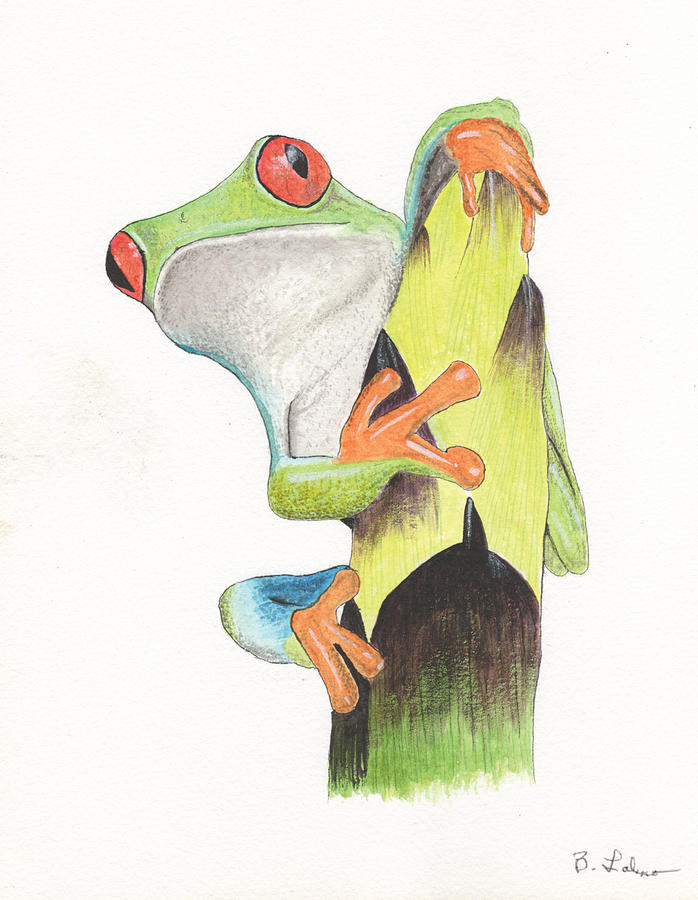 Red Eyed Tree Frog #1 Painting by Bob Labno