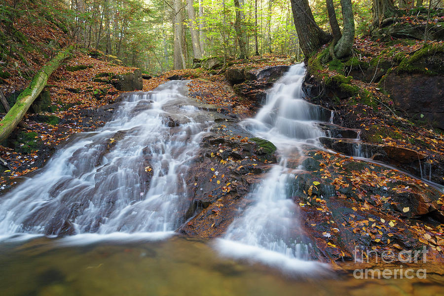 Tecumseh Brook - Waterville Valley, New Hampshire Photograph by Erin Paul Donovan