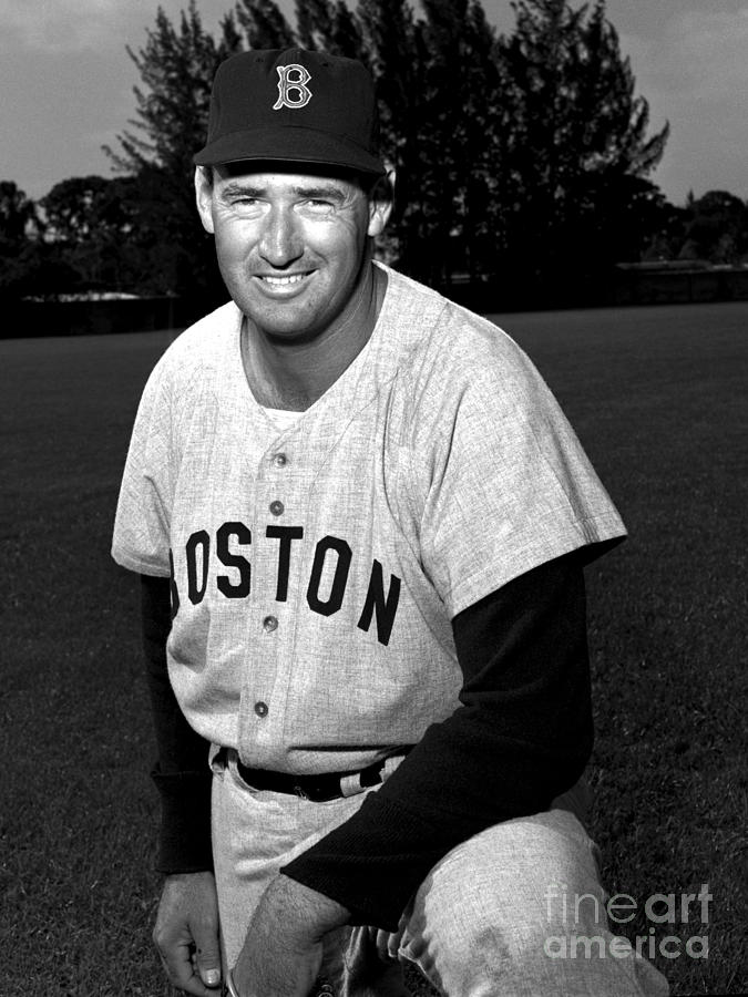 Ted Williams Photograph by Olen Collection