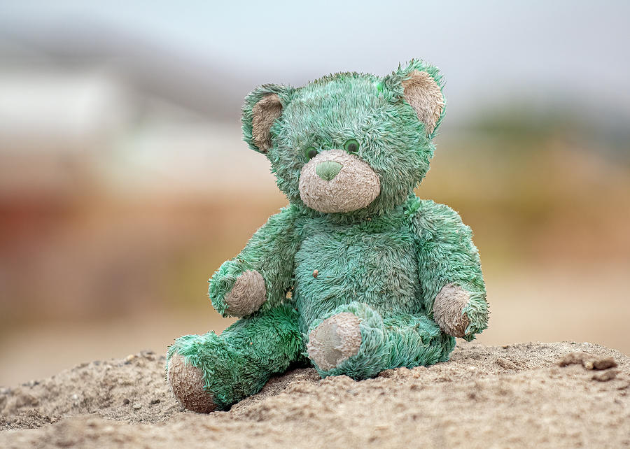 Teddy Bear 2 Photograph by Rick Mosher