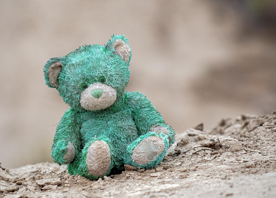 Teddy Bear 4 Photograph by Rick Mosher