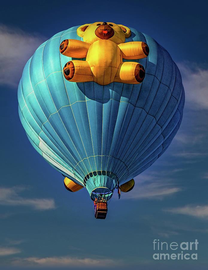 Teddy Bear Balloon Photograph by Nick Zelinsky Jr