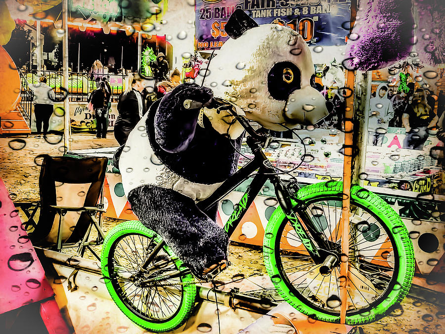 teddy bear on a bike
