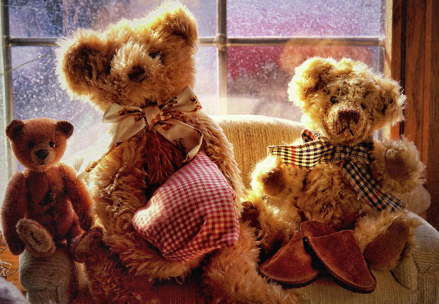 Teddy Bear Family at Home Photograph by Tatiana Travelways