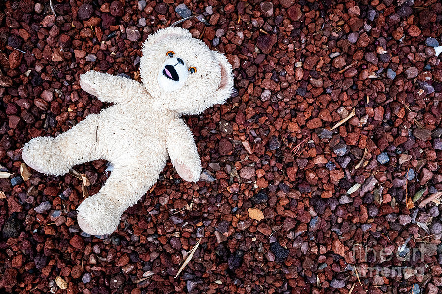 Teddy bear lying on the floor, dirty and wet, abandoned by a child. Photograph by Joaquin Corbalan