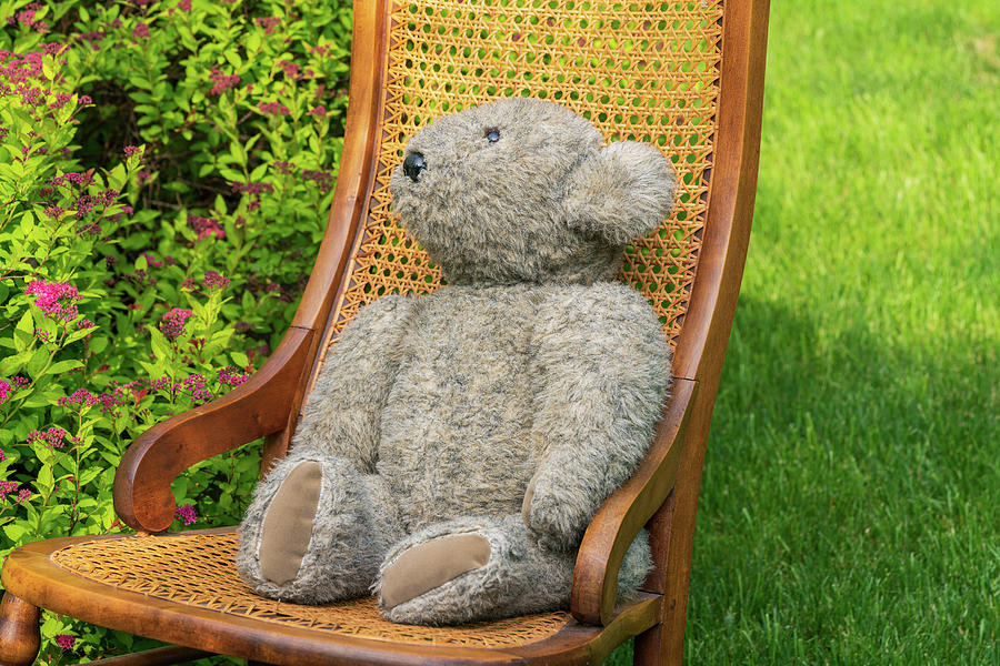 Teddy Bear on Rocking Chair I Photograph by Marianne Campolongo