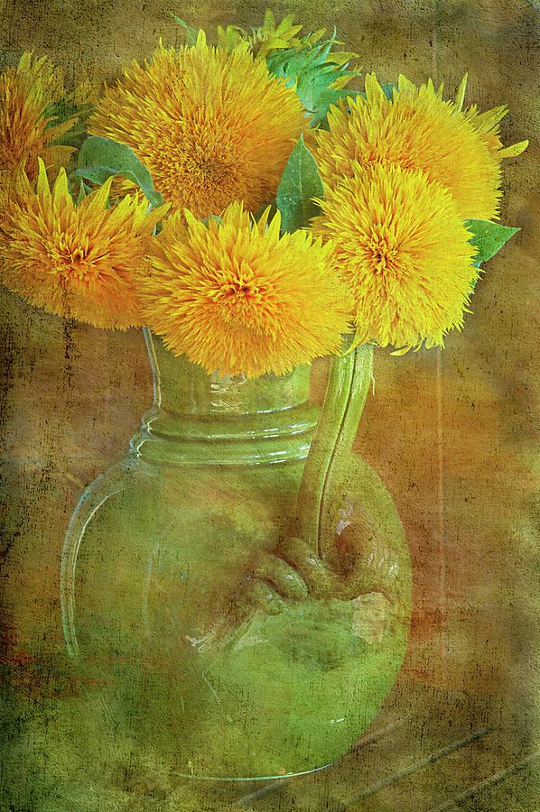 Teddy Bear Sunflowers Photograph by Jill Love