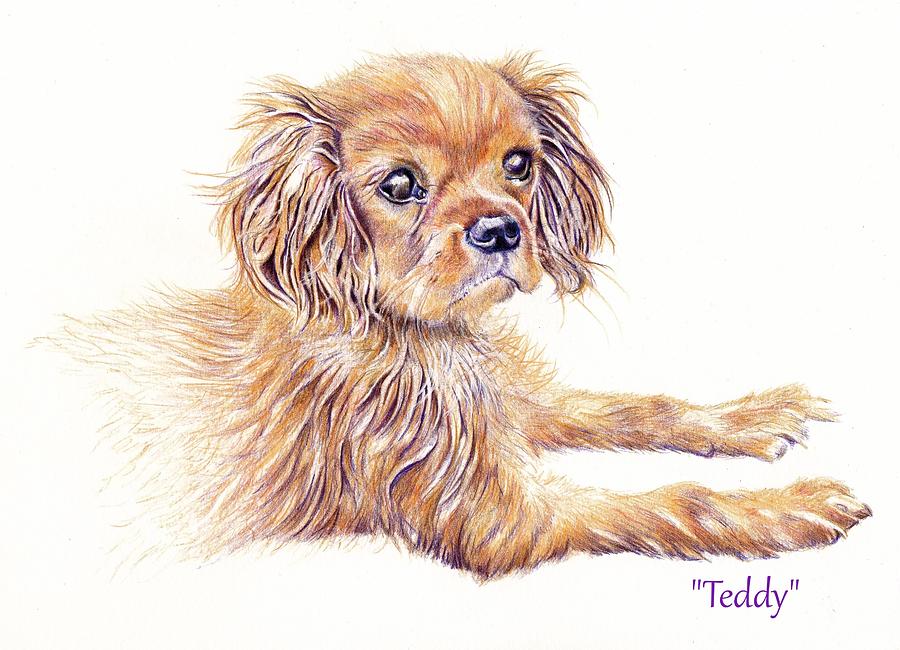 Teddy Painting by Debra Hall