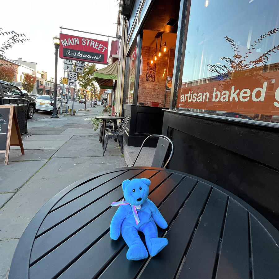 Teddy II in front of the Dessert Shop Photograph by Nancy De Flon
