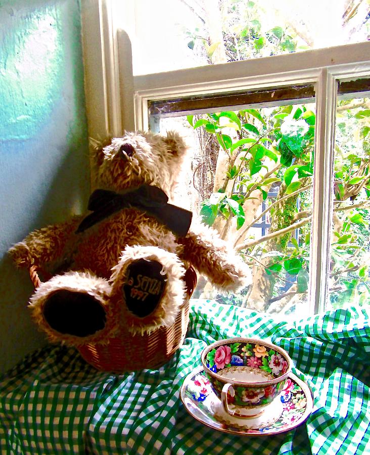 Teddy in the window Photograph by Stephanie Moore