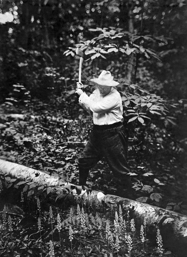 Teddy Roosevelt Chopping Wood - Sagamore Hill - 1911 Photograph by War Is Hell Store