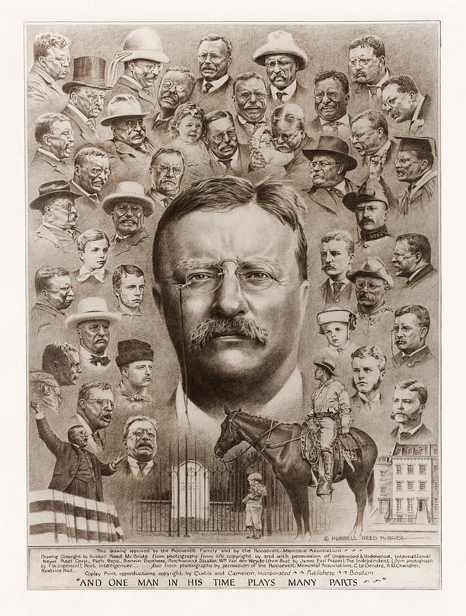 Teddy Roosevelt Collage Of Life - By Hubbell Reed McBride - 1923 Drawing by War Is Hell Store
