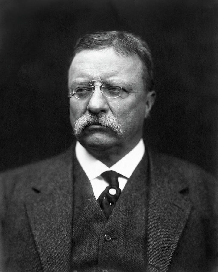 Theodore Roosevelt Photograph - Teddy Roosevelt by War Is Hell Store