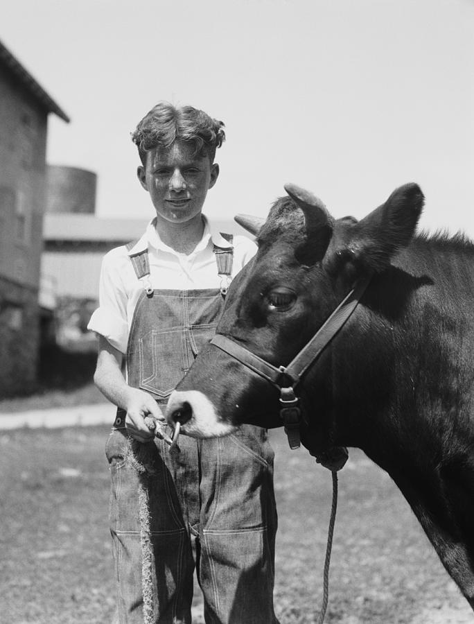 Teenage farm boy wearing bib overalls, holding Jersey bull. Photograph by H. Armstrong Roberts