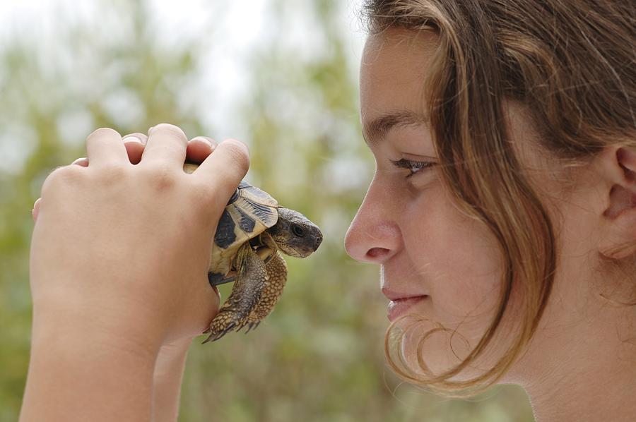 Teenage girl holding turtle, close-up Photograph by Claudia Rehm