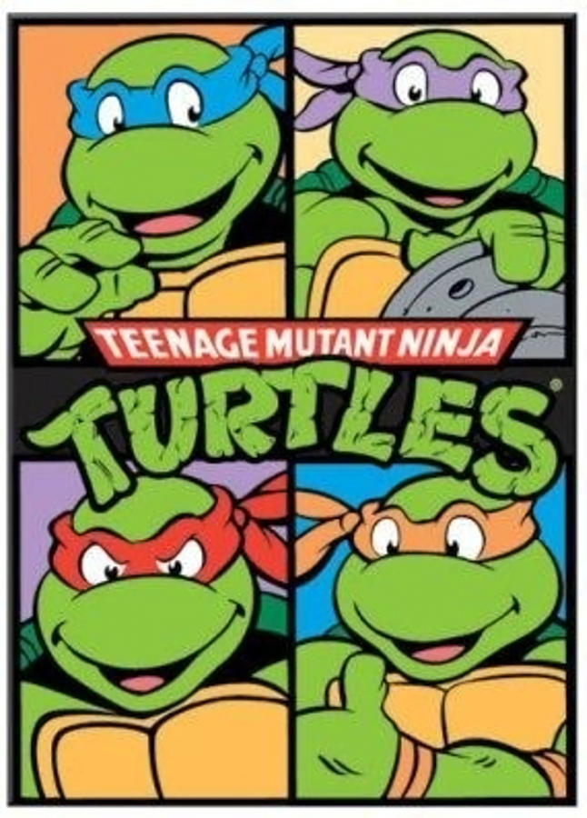 Teenage Mutant Ninja Turtles Poster green Painting by Eden Grant - Pixels