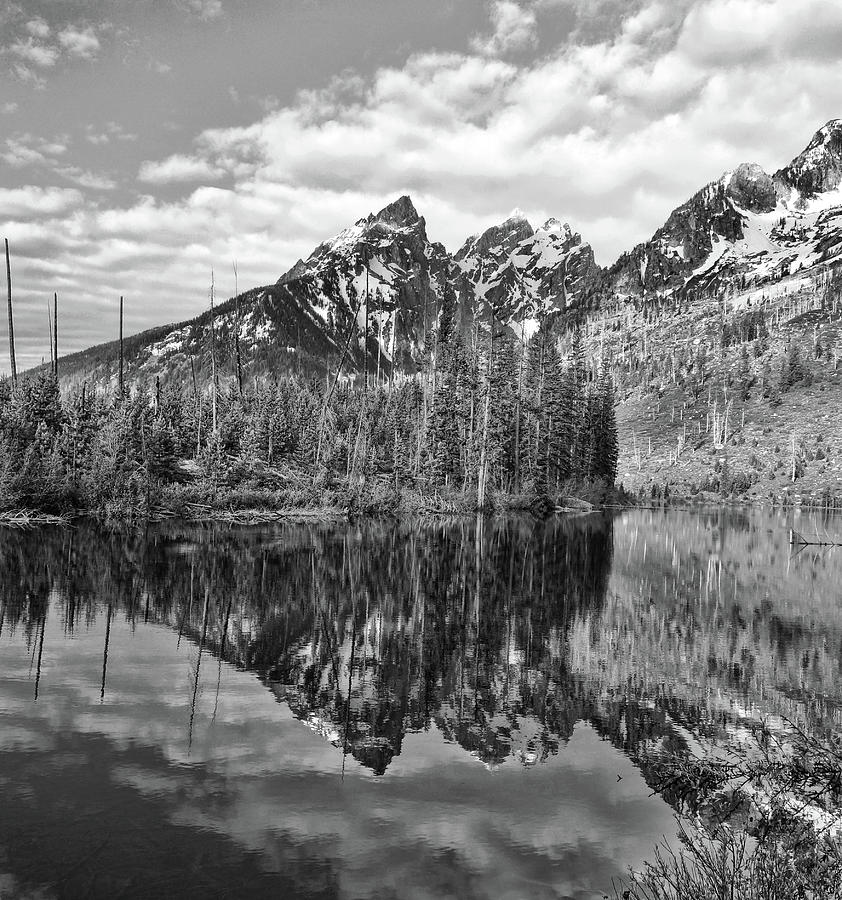 Teewinot Reflections Black And White Photograph by Dan Sproul