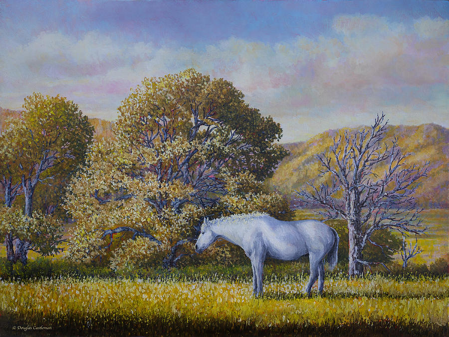 Tehachapi Horse Painting by Douglas Castleman