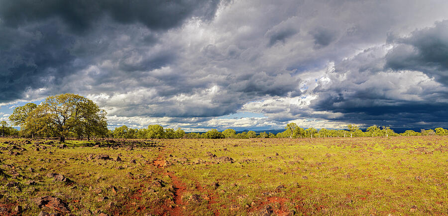 Tehama Moods Panorama Photograph by Mike Lee