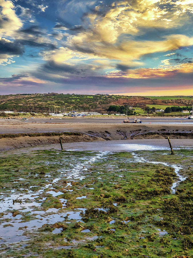 Teifi Estuary Photograph by Mark Llewellyn