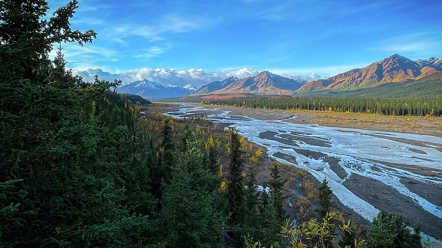 Teklanika River, Denali National Park Photograph by Harry Banks Teklanika River, Denali National Park Photograph by Harry Banks