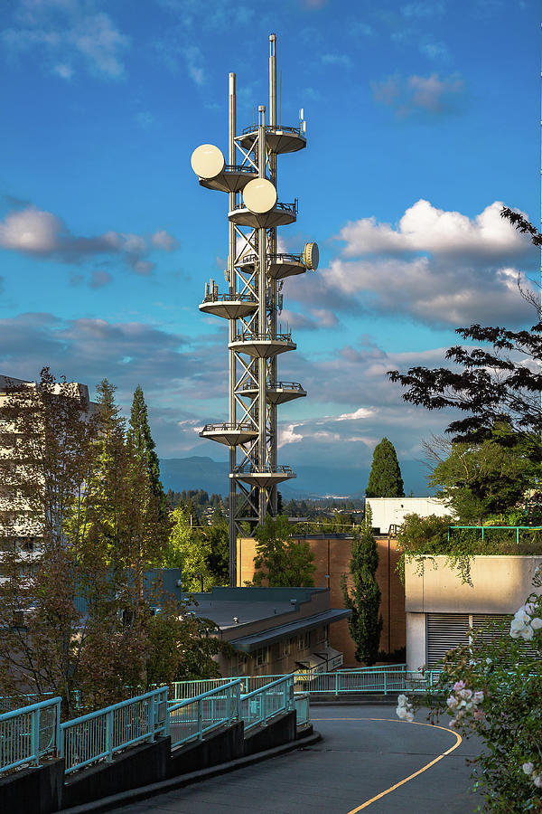 Telecommunications tower Photograph by Alex Lyubar