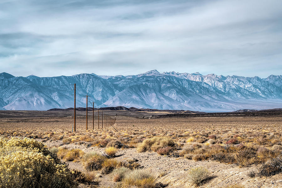 Telephone Poles and the Eastern Sierras Photograph by Lindsay Thomson