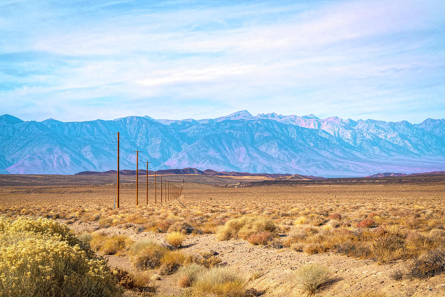 Telephone Poles and the Eastern Sierras 2 Photograph by Lindsay Thomson