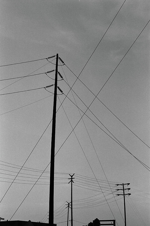 Telephone Wires Photograph by Nicholas Venegas - Fine Art America