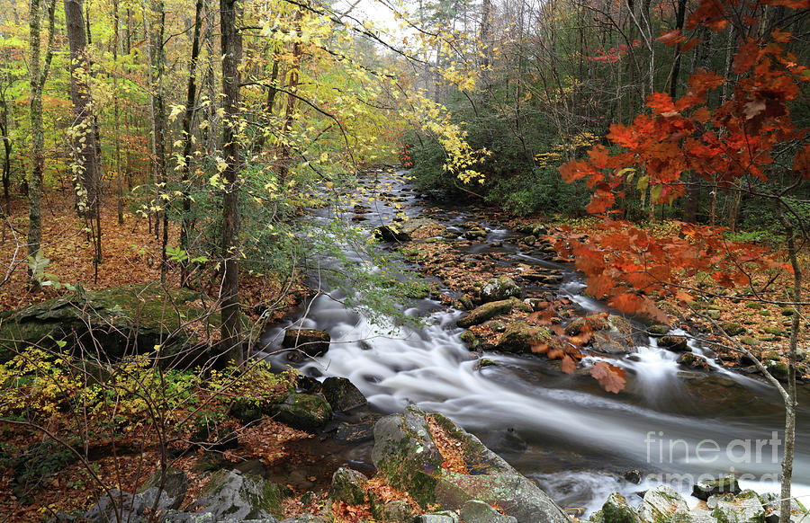 Tellico Fall Photograph by Rick Lipscomb