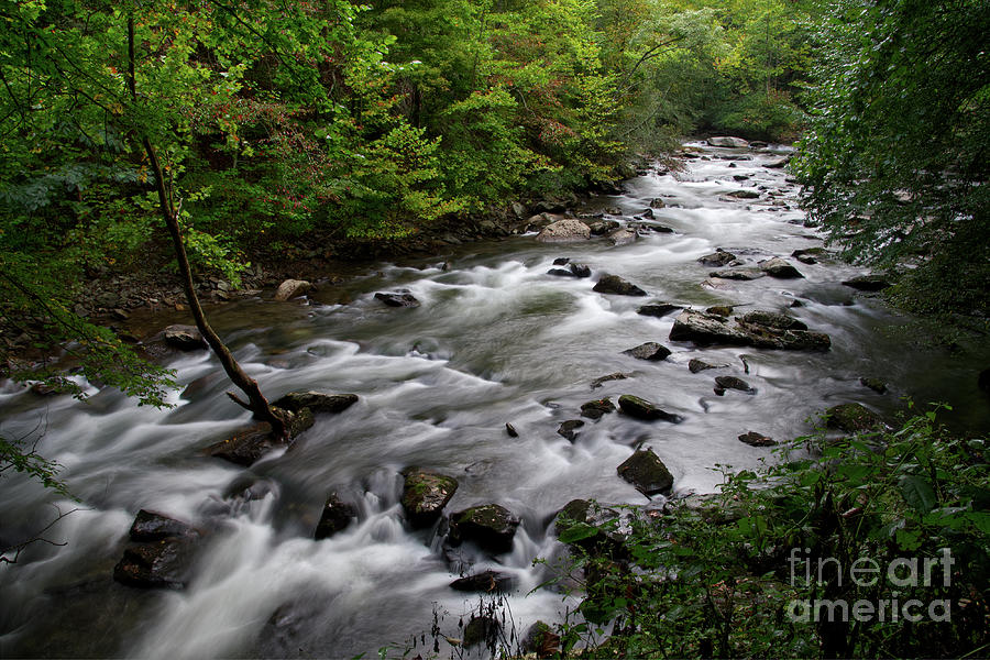 Tellico River 3 Photograph by Phil Perkins