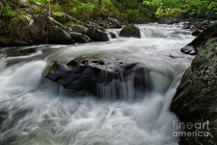 Tellico River 4 Photograph by Phil Perkins
