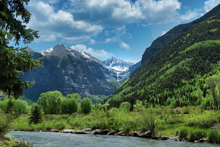 Telluride Summer Photograph by Jon Snyder