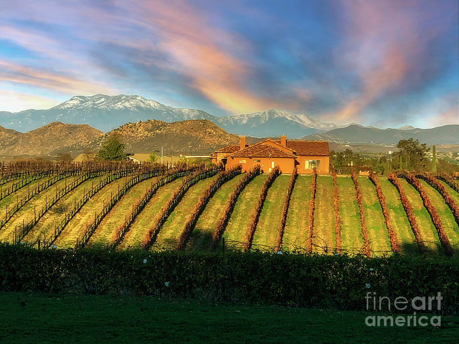 Temecula Valley Winery  Photograph by David Zanzinger