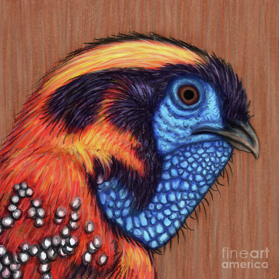 Temmincks Tragopan Painting by Amy E Fraser