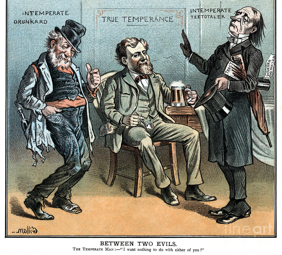 Temperance Cartoon, 1882 Drawing by Bernhard Gillam