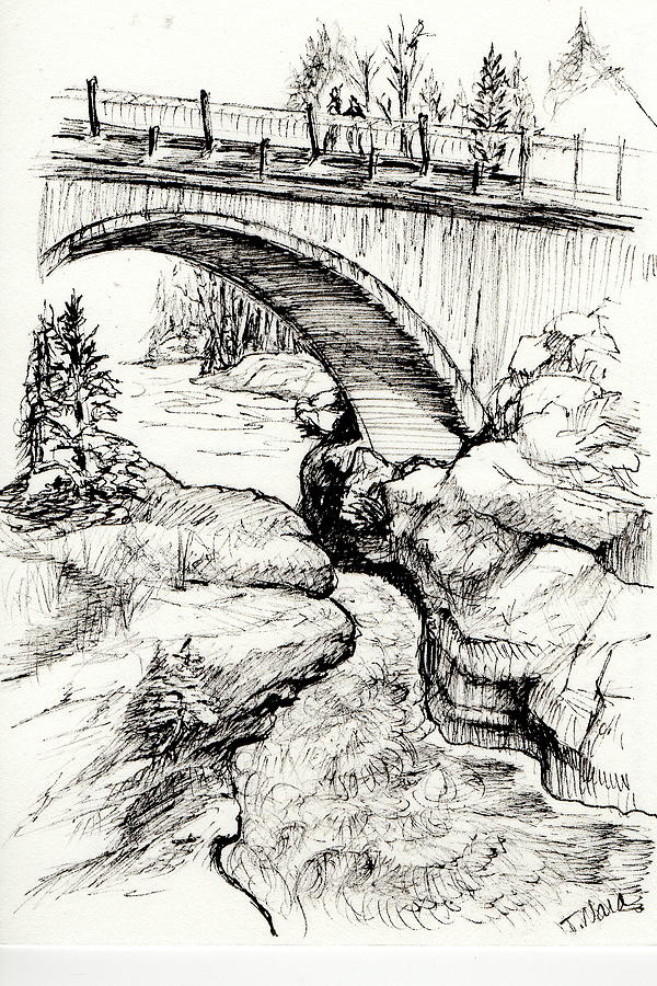 Black And White Drawing - Temperance River by Tammy Nara