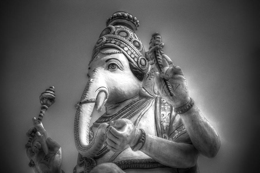 Temple Elephant Photograph