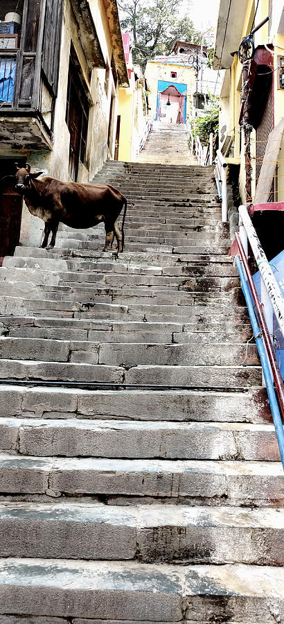 Temple Steps Photograph by Anand Swaroop Manchiraju