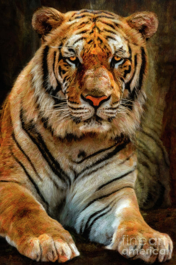 Temple Tiger Art Photograph by Adrian Evans