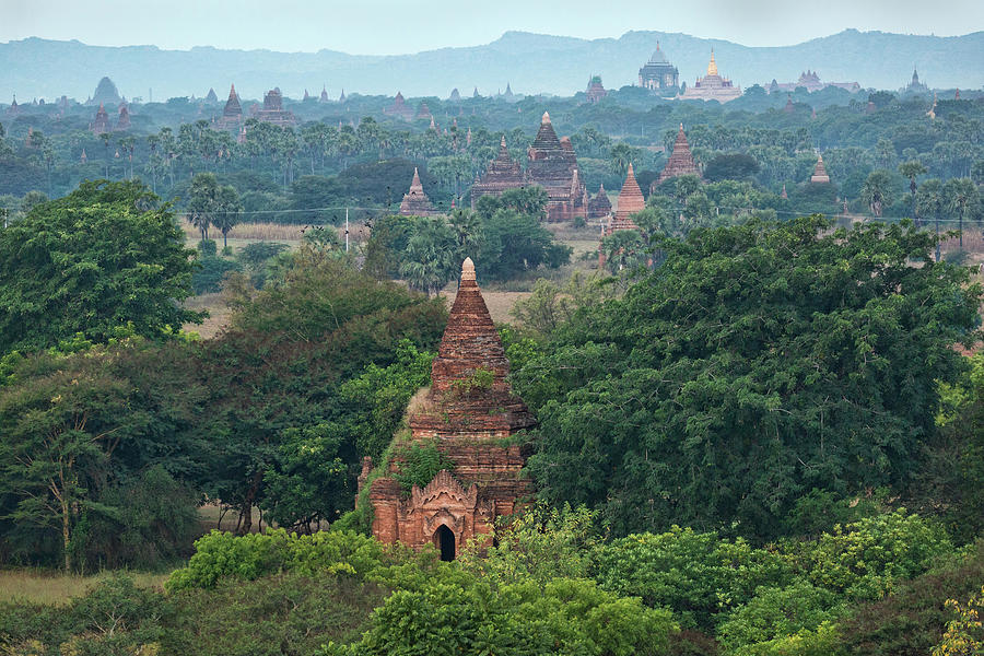 Temples in Bagan Myanmar Photograph by Lindley Johnson
