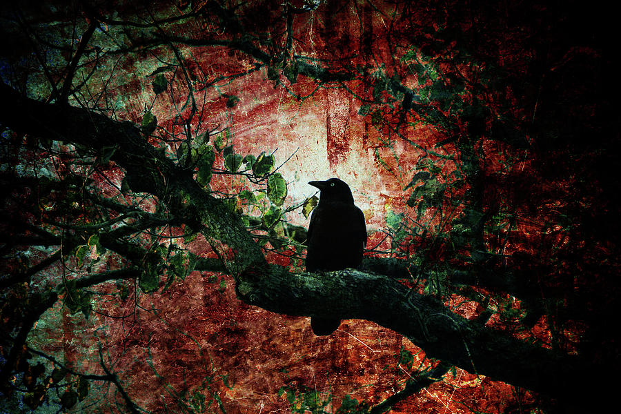Crow Photograph - Tempting Fate by Andrew Paranavitana