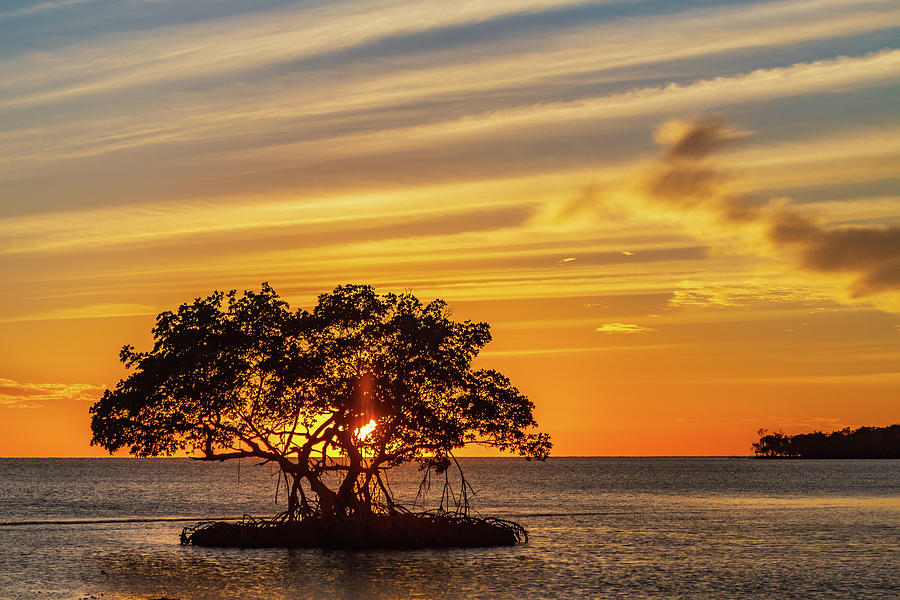 Ten Thousand Islands National Wildlife Refuge Sunset Photograph by Stefan Mazzola