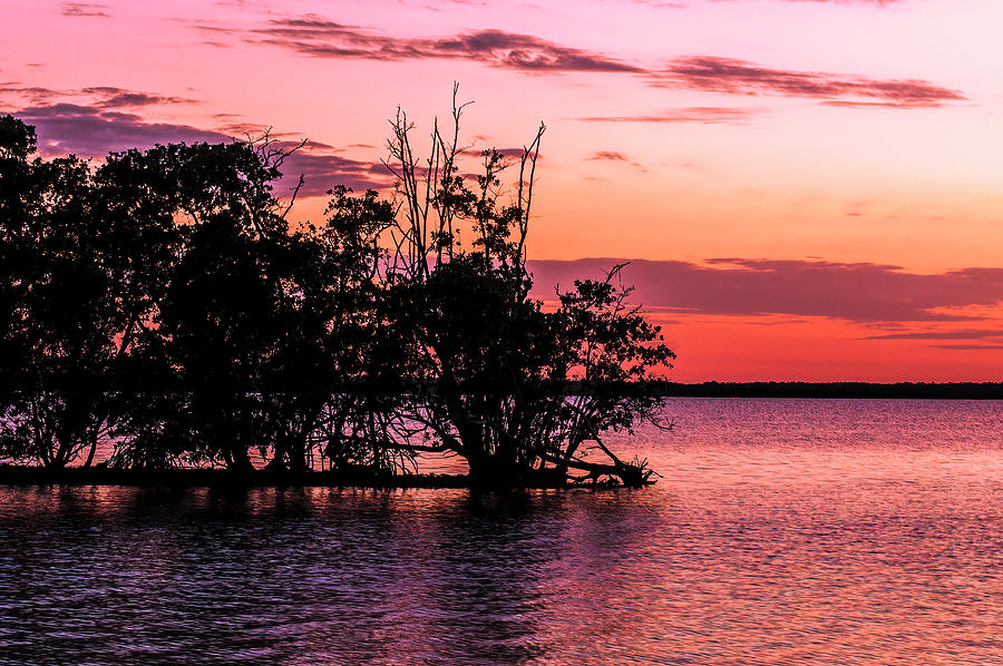 Ten Thousand Islands Sunset Photograph by Ginger Stein
