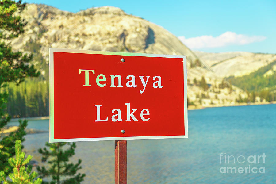 Tenaya lake Yosemite National Park Photograph by Benny Marty