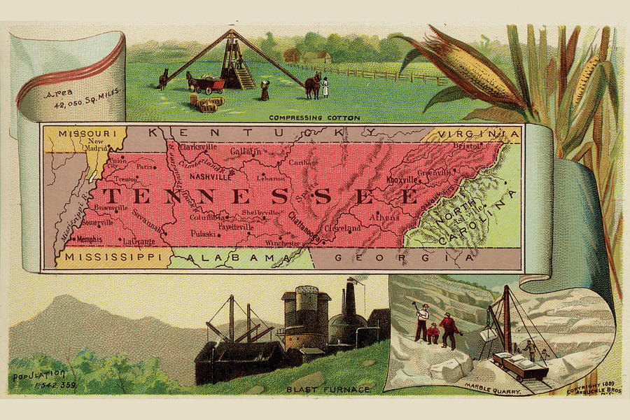 Tennessee Drawing by Arbuckle Brothers Fine Art America