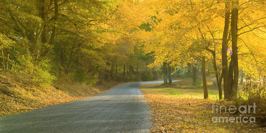 Tennessee backroad in Morning Sun in Autumn Photograph by Ranjay Mitra