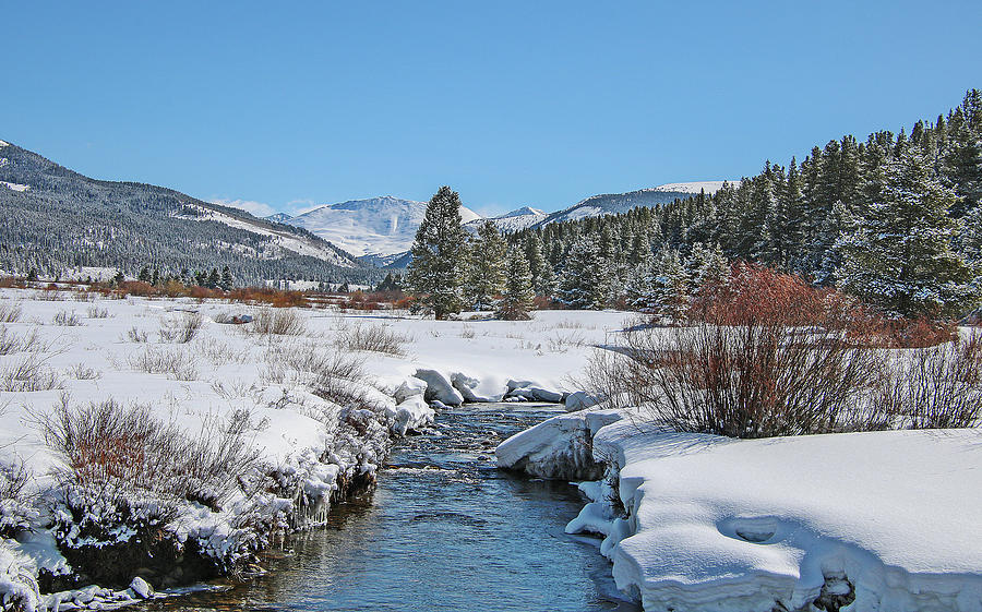 Tennessee Creek Photograph by Joseph Holub