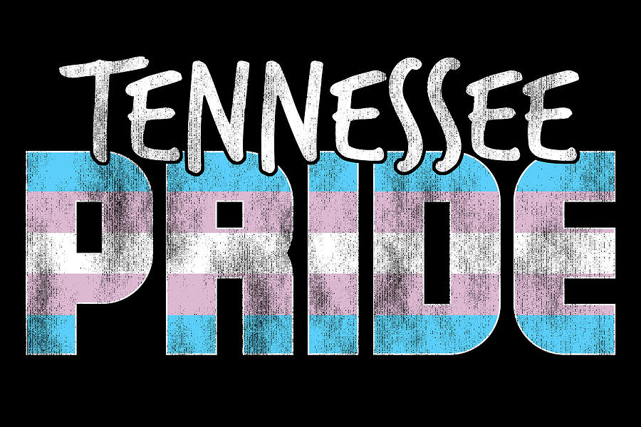 Tennessee Pride Transgender Flag Digital Art by Patrick Hiller Pixels