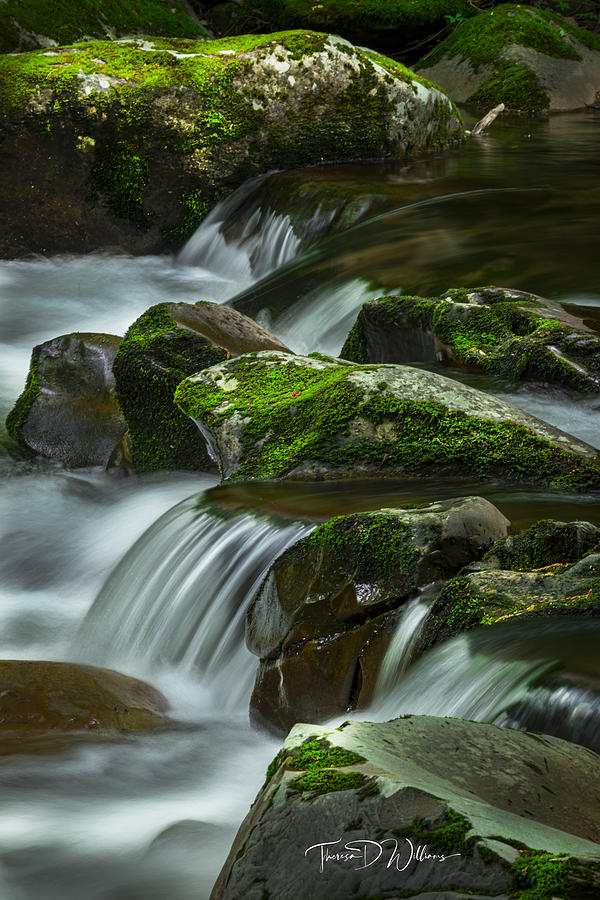 Tennessee Smoky Mountains Cascades  Photograph by Theresa D Williams